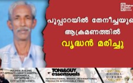 പൂപ്പാറയിൽ തേനീച്ചയുടെ ആക്രമണത്തിൽ വൃദ്ധൻ മരിച്ചു
