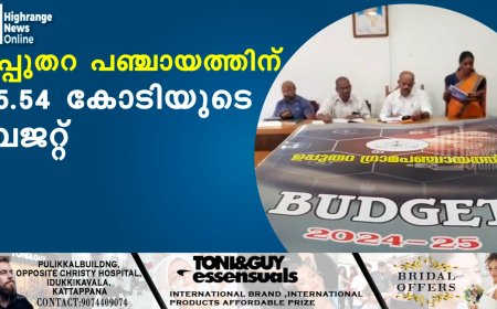 ഉപ്പുതറ പഞ്ചായത്തിന് 45.54 കോടിയുടെ ബജറ്റ്