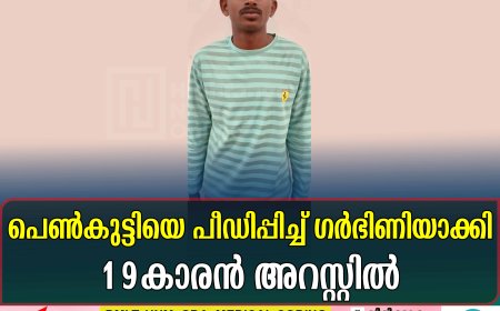 പെണ്‍കുട്ടിയെ പീഡിപ്പിച്ച് ഗര്‍ഭിണിയാക്കി: 19കാരന്‍ അറസ്റ്റില്‍