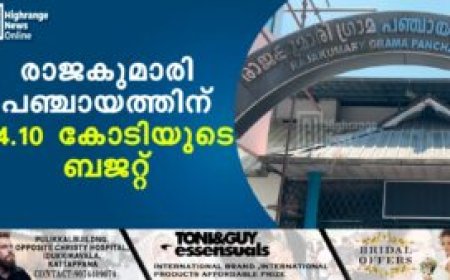 രാജകുമാരി പഞ്ചായത്തിന് 24.10 കോടിയുടെ ബജറ്റ്
