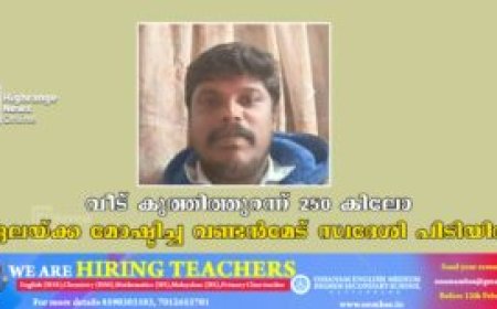 വീട് കുത്തിത്തുറന്ന് 250 കിലോ ഏലയ്ക്ക മോഷ്ടിച്ച വണ്ടന്‍മേട് സ്വദേശി പിടിയില്‍