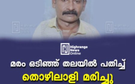 മരം ഒടിഞ്ഞ് തലയില്‍ പതിച്ച് തൊഴിലാളി മരിച്ചു