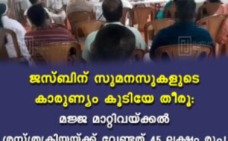 ജസ്ബിന് സുമനസുകളുടെ കാരുണ്യം കൂടിയേ തീരൂ: മജ്ജ മാറ്റിവയ്ക്കല്‍ ശസ്ത്രക്രിയയ്ക്ക് വേണ്ടത് 45 ലക്ഷം രൂപ