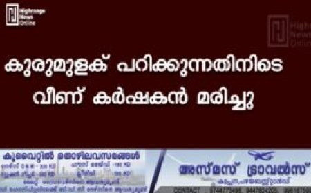 കുരുമുളക് പറിക്കുന്നതിനിടെ വീണ് കര്‍ഷകന്‍ മരിച്ചു
