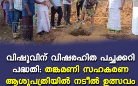 വിഷുവിന് വിഷരഹിത പച്ചക്കറി പദ്ധതി: തങ്കമണി സഹകരണ ആശുപത്രിയില്‍ നടീല്‍ ഉത്സവം