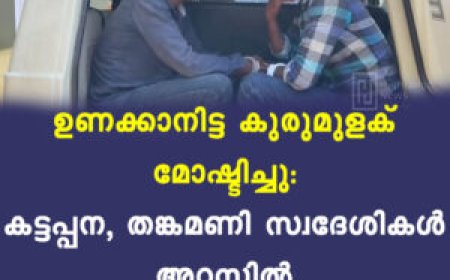 ഉണക്കാനിട്ട 20 കിലോ കുരുമുളക് മോഷ്ടിച്ചു: കട്ടപ്പന, തങ്കമണി സ്വദേശികള്‍ അറസ്റ്റില്‍