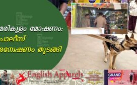 മേരികുളം മോഷണം: പൊലീസ് അന്വേഷണം തുടങ്ങി