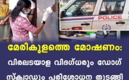 മേരികുളത്തെ മോഷണം: വിരലടയാള വിദഗ്ധരും ഡോഗ് സ്‌ക്വാഡും പരിശോധന തുടങ്ങി