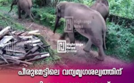 പീരുമേട്ടിലെ വന്യമൃഗശല്യത്തിന് പരിഹാരം: വനം വകുപ്പ്