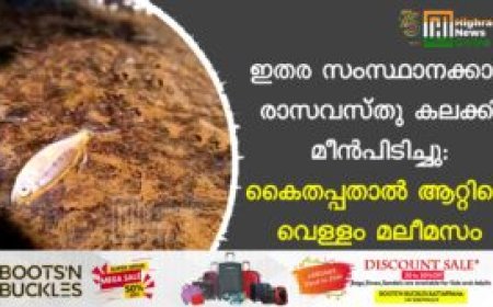 ഇതര സംസ്ഥാനക്കാര്‍ രാസവസ്തു കലക്കി മീന്‍പിടിച്ചു: കൈതപ്പതാല്‍ ആറ്റിലെ വെള്ളം മലീമസം