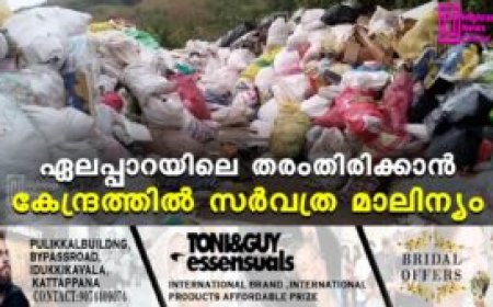 ഏലപ്പാറയിലെ തരംതിരിക്കാന്‍ കേന്ദ്രത്തില്‍ സര്‍വത്ര മാലിന്യം