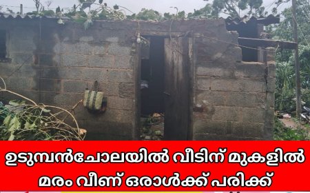 ഉടുമ്പൻചോലയിൽ വീടിന് മുകളിൽ മരം വീണ് ഒരാൾക്ക് പരിക്ക് 
