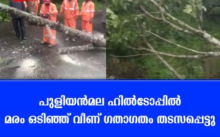 പുളിയന്‍മല ഹില്‍ടോപ്പില്‍ മരം ഒടിഞ്ഞ് വീണ് ഗതാഗതം തടസപ്പെട്ടു