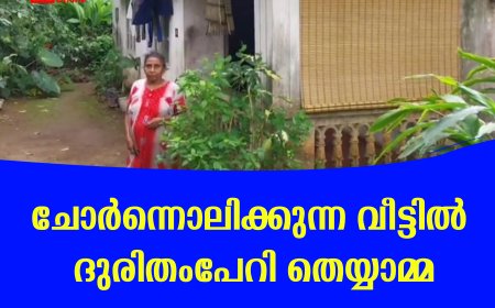 ചോര്‍ന്നൊലിക്കുന്ന വീട്ടില്‍ ദുരിതംപേറി തെയ്യാമ്മ