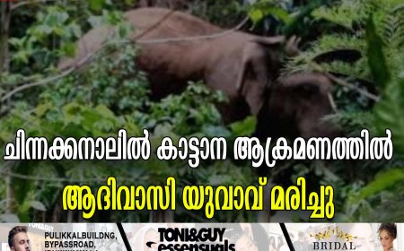 ചിന്നക്കനാലില്‍ കാട്ടാന ആക്രമണത്തില്‍ ആദിവാസി യുവാവ് മരിച്ചു