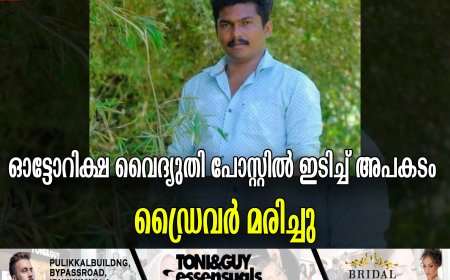 ഓട്ടോറിക്ഷ വൈദ്യുതി പോസ്റ്റിൽ ഇടിച്ച്‌ അപകടം : ഡ്രൈവർ മരിച്ചു
