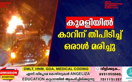 കുമളിയില്‍ ഓടിക്കൊണ്ടിരുന്ന കാറിന് തീപിടിച്ച് ഒരാള്‍ മരിച്ചു