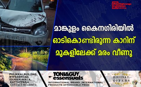 മാങ്കുളം കൈനഗിരിയില്‍ ഓടികൊണ്ടിരുന്ന കാറിന് മുകളിലേക്ക് മരം വീണു