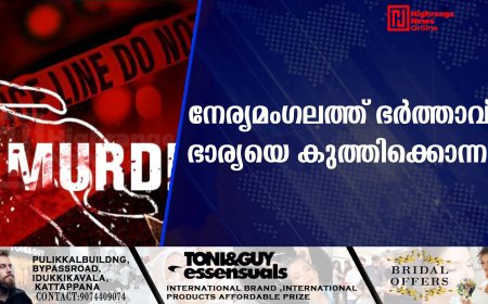 നേര്യമംഗലത്ത് ഭർത്താവ് ഭാര്യയെ കുത്തിക്കൊന്നു