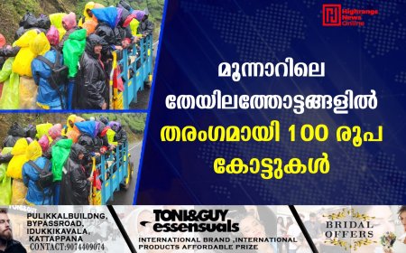 മൂന്നാറിലെ തേയിലത്തോട്ടങ്ങളില്‍ തരംഗമായി 100 രൂപ കോട്ടുകള്‍