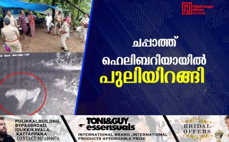 ചപ്പാത്ത് ഹെലിബറിയായില്‍ പുലിയിറങ്ങി 