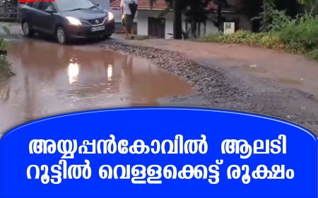 അയ്യപ്പന്‍കോവില്‍  ആലടി റൂട്ടില്‍ വെള്ളക്കെട്ട് രൂക്ഷം