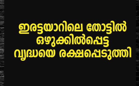 ഇരട്ടയാറിലെ തോട്ടിൽ വീണ വൃദ്ധയെ രക്ഷപ്പെടുത്തി