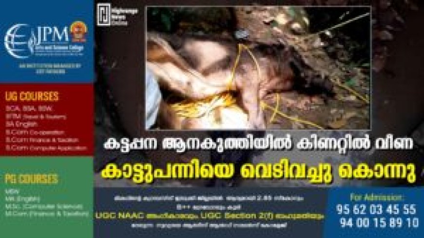 കട്ടപ്പന ആനകുത്തിയില് കിണറ്റില് വീണ കാട്ടുപന്നിയെ വെടിവച്ചു കൊന്നു