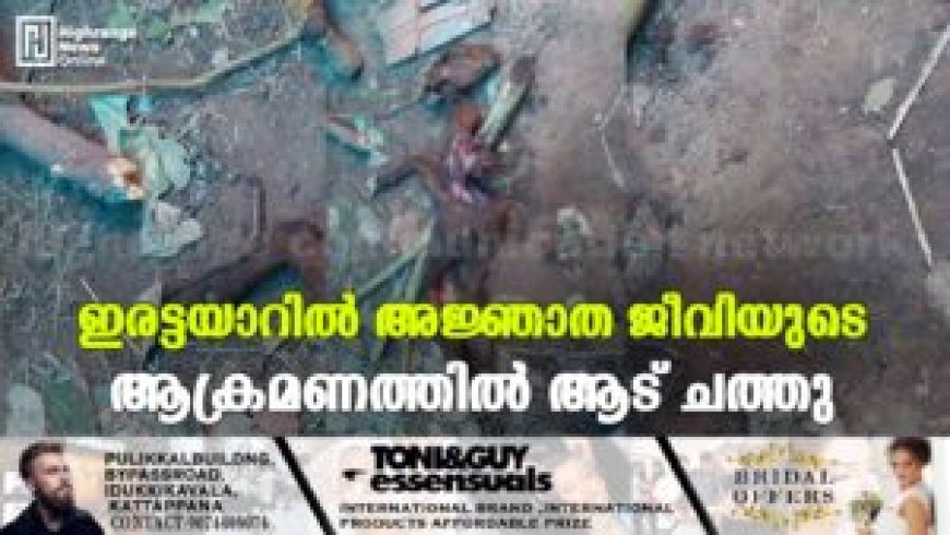 ഇരട്ടയാറില്‍ അജ്ഞാത ജീവിയുടെ ആക്രമണത്തില്‍ ആട് ചത്തു