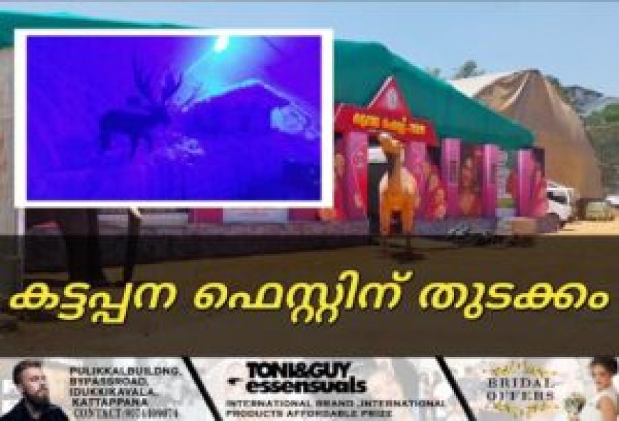 കട്ടപ്പന ഫെസ്റ്റിന് തുടക്കം