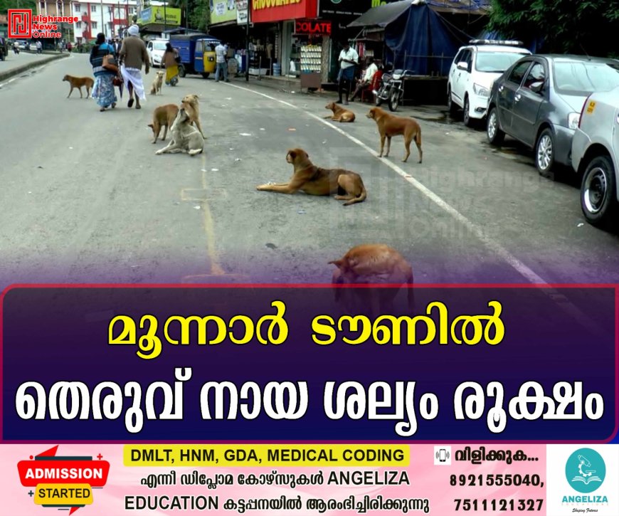 മൂന്നാര് ടൗണില് തെരുവ് നായ ശല്യം രൂക്ഷം