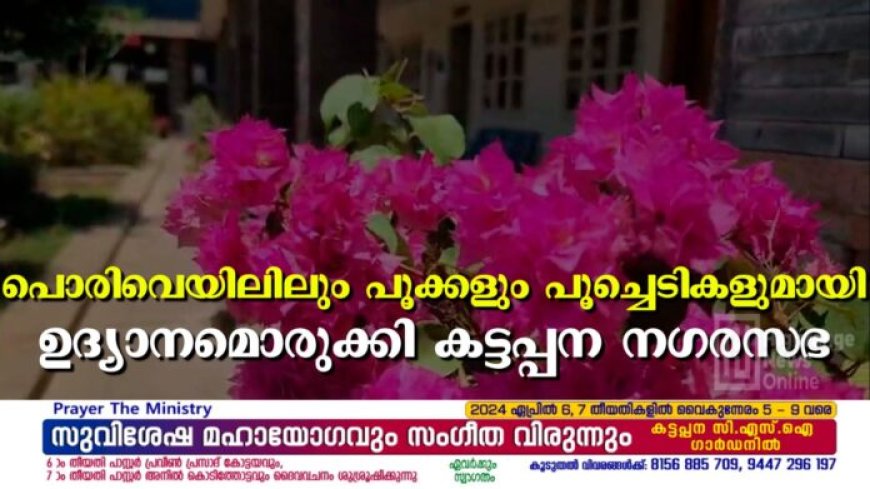 പൊരിവെയിലിലും പൂക്കളും പൂച്ചെടികളുമായി ഉദ്യാനമൊരുക്കി കട്ടപ്പന നഗരസഭ