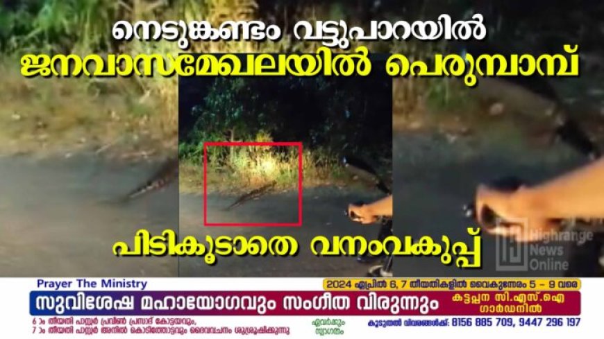 നെടുങ്കണ്ടം വട്ടുപാറയില്‍ ജനവാസമേഖലയില്‍ പെരുമ്പാമ്പ്: പിടികൂടാതെ വനംവകുപ്പ്