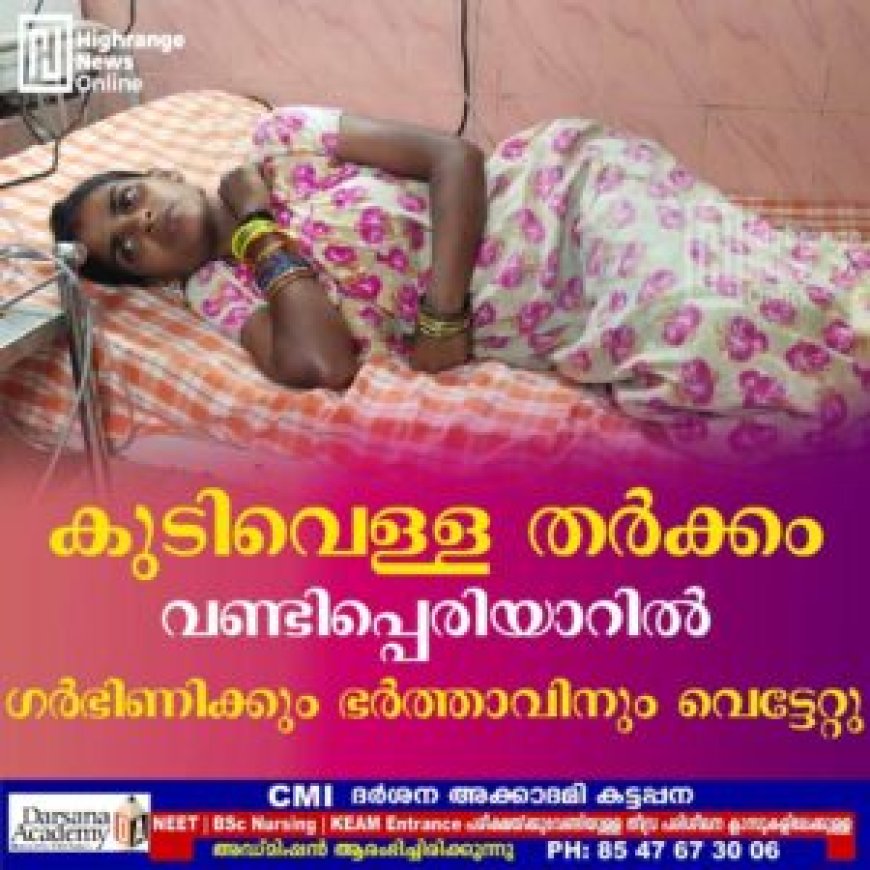 കുടിവെള്ള തര്ക്കം: വണ്ടിപ്പെരിയാറില് ഗര്ഭിണിക്കും ഭര്ത്താവിനും വെട്ടേറ്റു