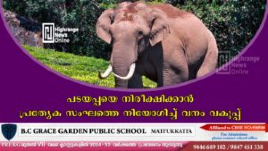 പടയപ്പയെ നിരീക്ഷിക്കാന്‍ പ്രത്യേക സംഘത്തെ നിയോഗിച്ച് വനം വകുപ്പ്