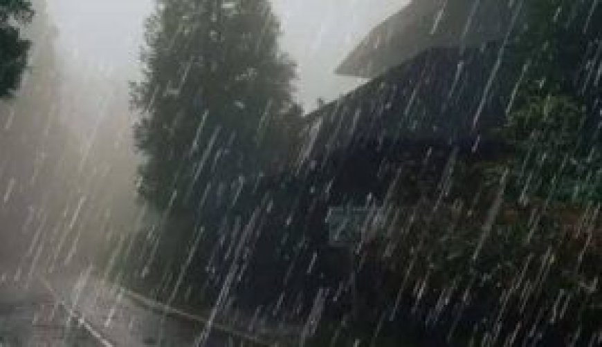 ഇടുക്കി ശാന്തൻപാറ പേത്തൊട്ടിയിൽ ഉരുൾപൊട്ടലെന്നു സംശയം : രണ്ടു വീടുകൾക്ക് കേടുപാട്
