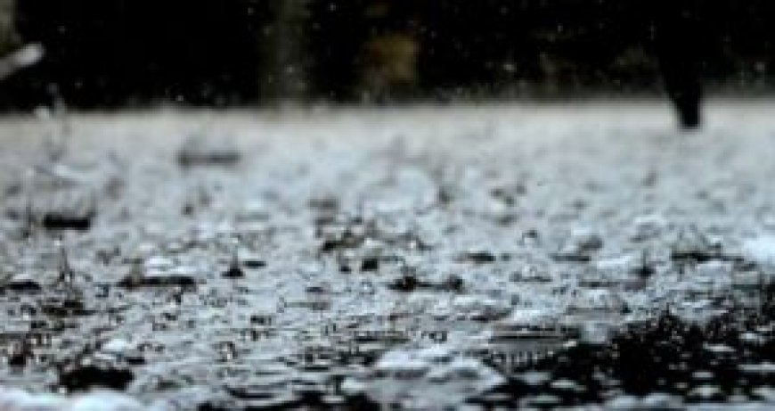 കേരളത്തിൽ 5 ദിവസം ഇടിമിന്നലോട് കൂടിയ മഴയ്ക്ക് സാധ്യത .            ഇടുക്കി ഉൾപ്പെടെ രണ്ട് ജില്ലകളിൽ മഞ്ഞ അലെർട്