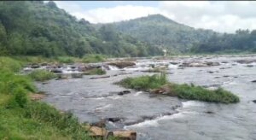 പെരിയാറ്റിൽ മീൻ പിടിക്കാൻ ഇറങ്ങിയ ആളെ കാണ്മാനില്ല