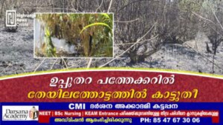 ഉപ്പുതറ പത്തേക്കറില്‍ തേയിലത്തോട്ടത്തില്‍ കാട്ടുതീ