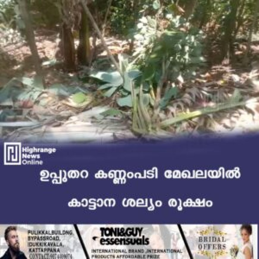 ഉപ്പുതറ കണ്ണംപടി മേഖലയില്‍ കാട്ടാന ശല്യം രൂക്ഷം