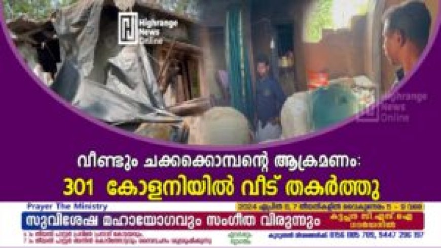 വീണ്ടും ചക്കക്കൊമ്പന്റെ ആക്രമണം: 301 കോളനിയില്‍ വീട് തകര്‍ത്തു