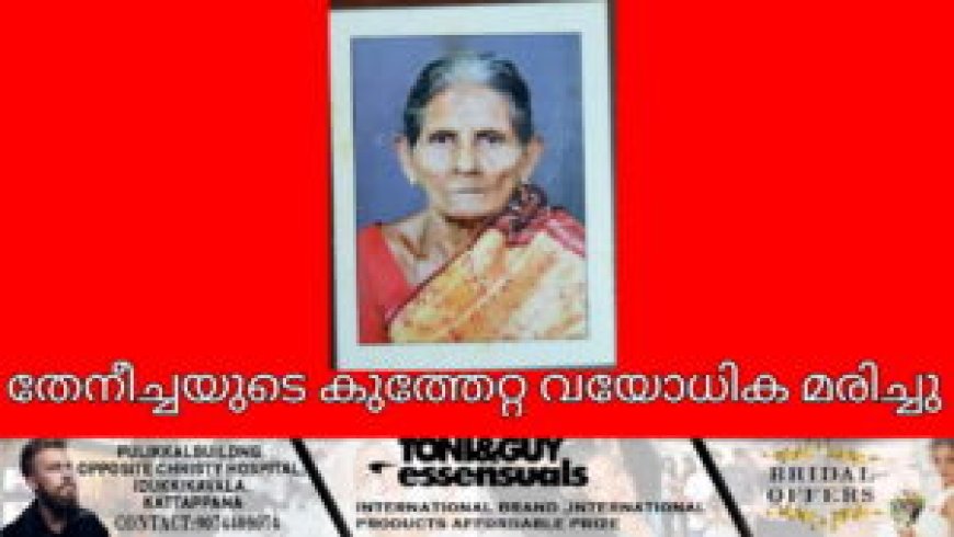തേനീച്ചയുടെ കുത്തേറ്റ വയോധിക മരിച്ചു