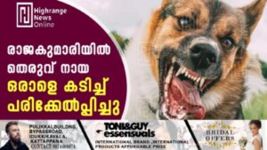 രാജകുമാരിയില് തെരുവ് നായ ഒരാളെ കടിച്ച് പരിക്കേല്പ്പിച്ചു