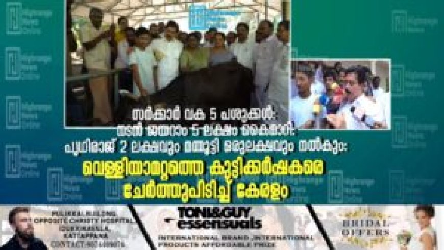 സര്‍ക്കാര്‍ വക 5 പശുക്കള്‍: നടന്‍ ജയറാം 5 ലക്ഷം കൈമാറി: പൃഥിരാജ് 2 ലക്ഷവും മമ്മൂട്ടി ഒരുലക്ഷവും നല്‍കും: വെള്ളിയാമറ്റത്തെ കുട്ടിക്കര്‍ഷകരെ ചേര്‍ത്തുപിടിച്ച് കേരളം