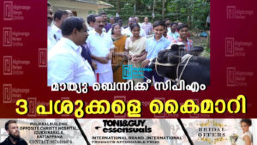 മാത്യു ബെന്നിക്ക് സിപിഎം 3 പശുക്കളെ കൈമാറി