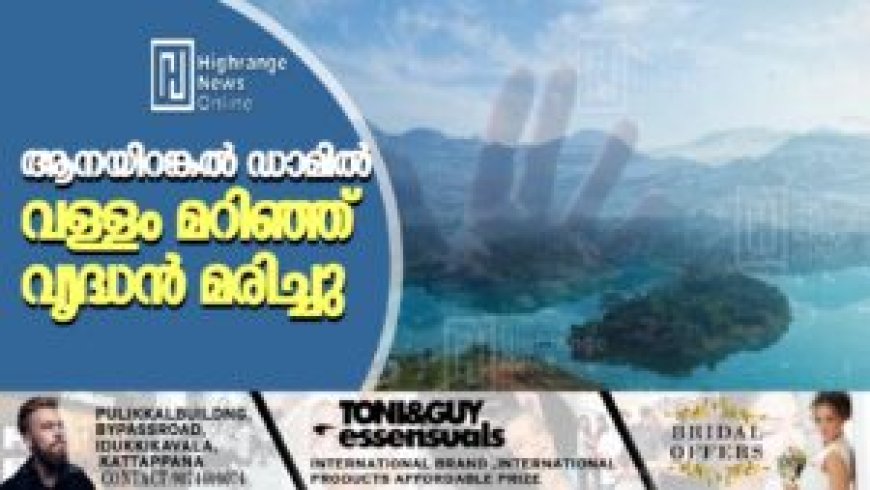 ആനയിറങ്കല് ഡാമില് വള്ളം മറിഞ്ഞ് വൃദ്ധന് മരിച്ചു