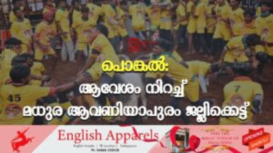 പൊങ്കല്: ആവേശം നിറച്ച് മധുര ആവണിയാപുരം ജല്ലിക്കെട്ട്