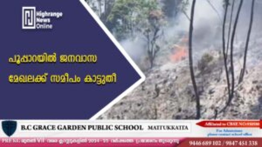 പൂപ്പാറയില്‍ ജനവാസ മേഖലക്ക് സമീപം കാട്ടുതീ