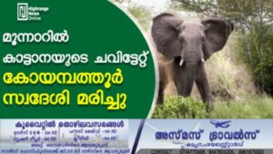 മൂന്നാറില്‍ കാട്ടാനയുടെ ചവിട്ടേറ്റ് കോയമ്പത്തൂര്‍ സ്വദേശി മരിച്ചു