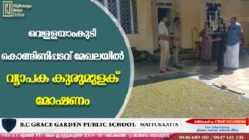 വെള്ളയാംകുടി കൊങ്ങിണിപ്പടവ് മേഖലയില്‍ വ്യാപക കുരുമുളക് മോഷണം